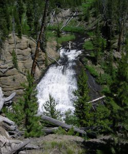 scenic view of Little Gibbon Falls